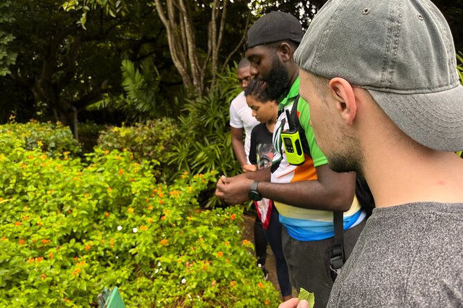 Easy Hike With Relaxing Garden Tour and Delicious Lunch - Delectable Lunch Experience