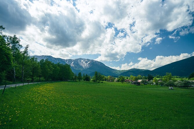 Easy Hiking Alpine Panorama Paradise Private Tour From Vienna - Exploring the Alpine Panorama