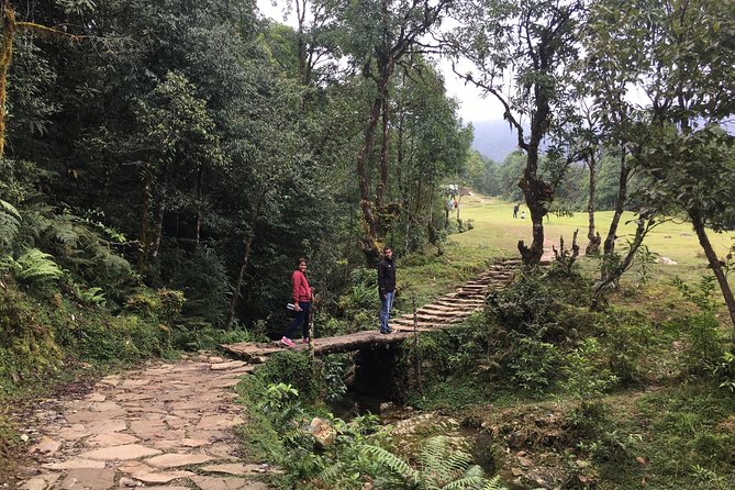 Easy Hiking to Australian Camp From Pokhara - Inclusions