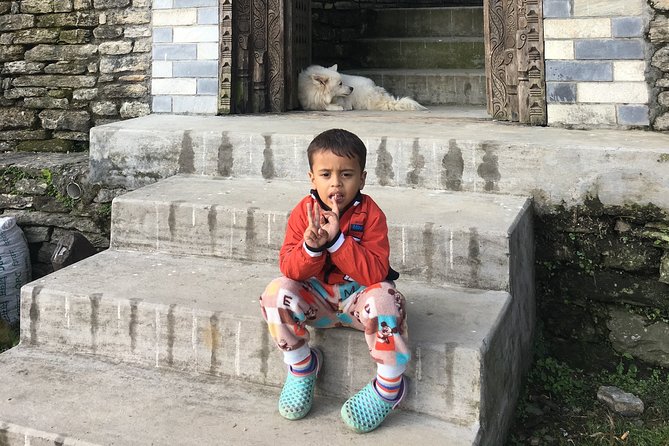 Easy Hiking to Dhampus Village From Pokhara - Meeting and Pickup