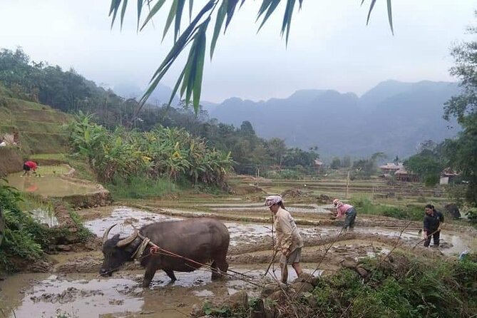Easy Rider-Motorbike Tour-3 Days From Dalat to Nha Trang - Cancellation Policy