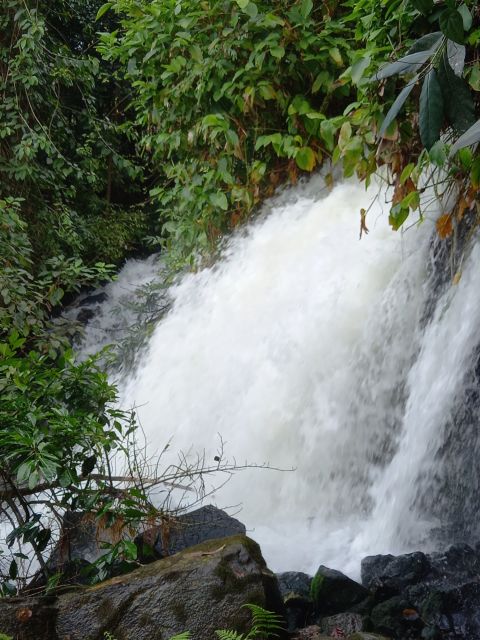 Easy Rider - Motorbike Tour - Pongour Waterfall Day Tour - Key Points