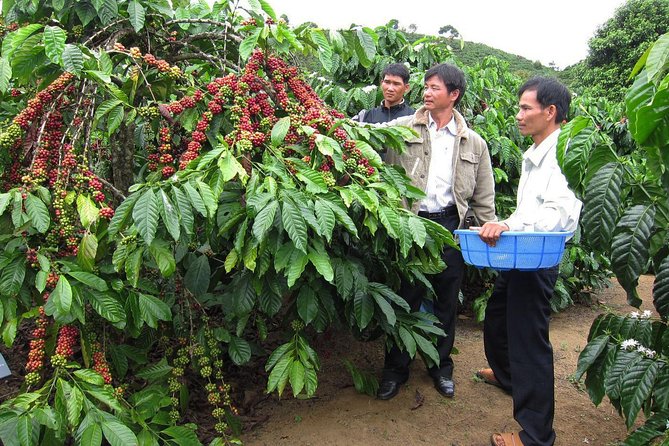 Easy Riders Buon Ma Thuot - Daily Tour. - Exploring Food and Culture