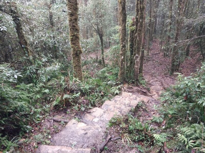 Easy Riders to Silver Waterfall, Love Waterfall, Lonely Tree - Booking Information