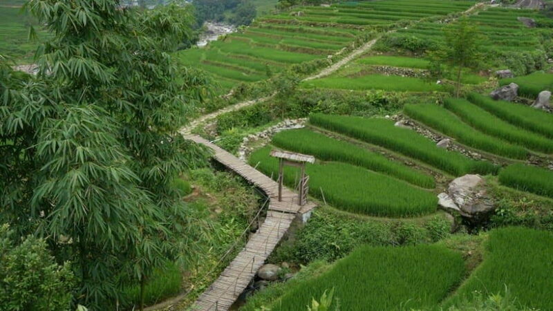 Easy Trek in Sapa mountain : Y Linh Ho - Lao Chai - Ta Van - Practical Details & Tips