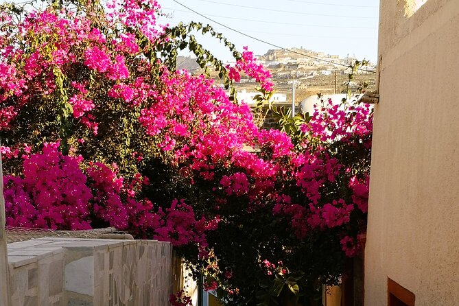 Easy Walks in Santorini Private Half Day Tour - Included in the Tour