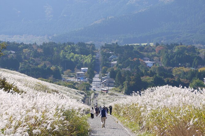 Easygoing Nature Walk in Hakone Tour - Meeting and Pickup