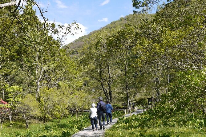 Easygoing Nature Walk in Hakone Tour - Exploring Hakone Botanical Garden