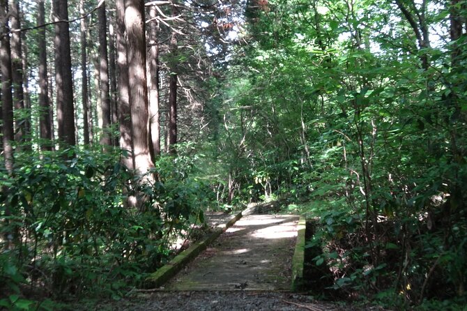 Easygoing Nature Walk in Hakone Tour - Birdwatching With Binoculars