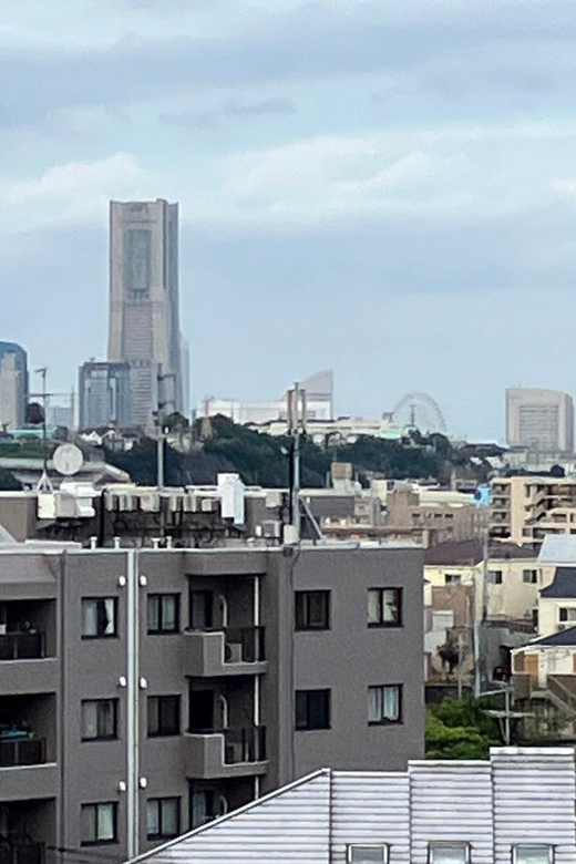 Eat Like a Local in Yokohama - With a Local Expert Guide! - Culinary Experience and Highlights