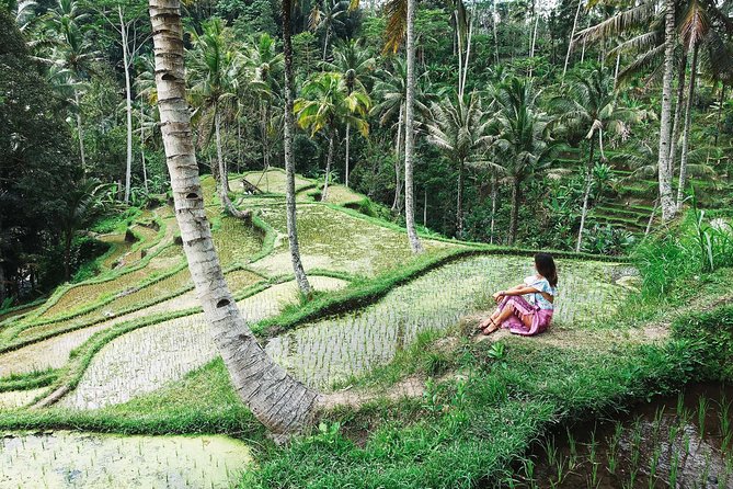Eat Pray Love Bali Private Tour – Full Day - Tour Overview