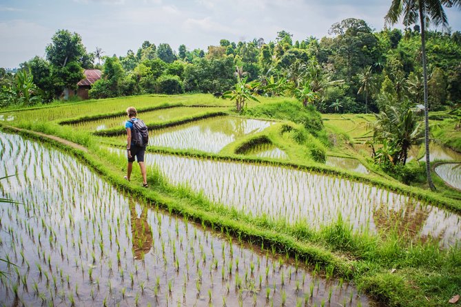 Eat Pray Love Bali Private Tour – Full Day - Cancellation and Reviews