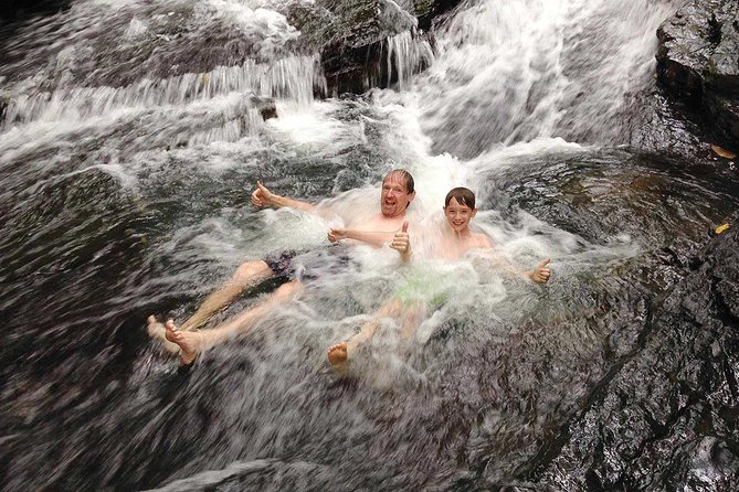 Ebano Waterfalls and Rainforest Safari Tour - Key Points