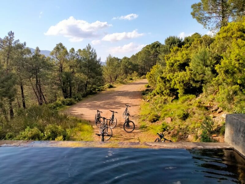 EBIKE MTB + Traditional Pastry Workshop in National Park - Tour Details