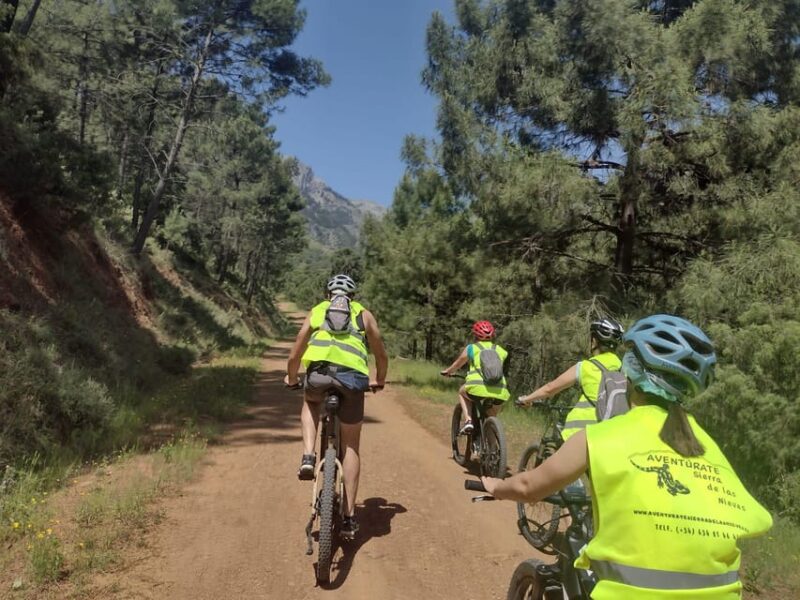 EBIKE MTB + Traditional Pastry Workshop in National Park - Parking Instructions