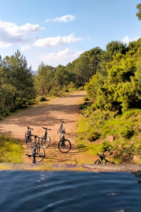 EBIKE MTB + Traditional Pastry Workshop in National Park - Booking and Availability