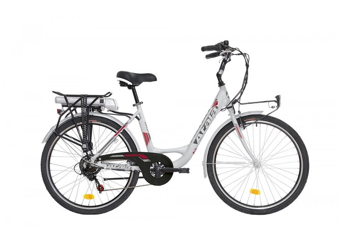 Ebike Rental in Palermo - Rental Details