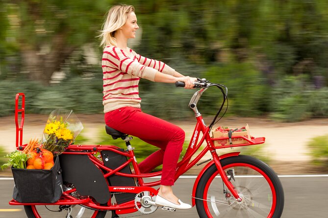 Ebike Rentals Through Pedego Tampa - Convenient E-bike Rental Process
