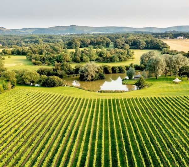 Ebike Tour Albourne Estate: Wine Tasting and Downs Ebiking - Booking Information