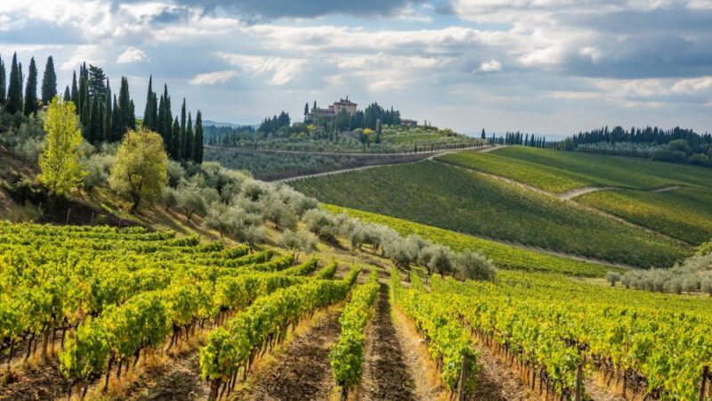Ebike Tour and Wine Tasting - Booking Information