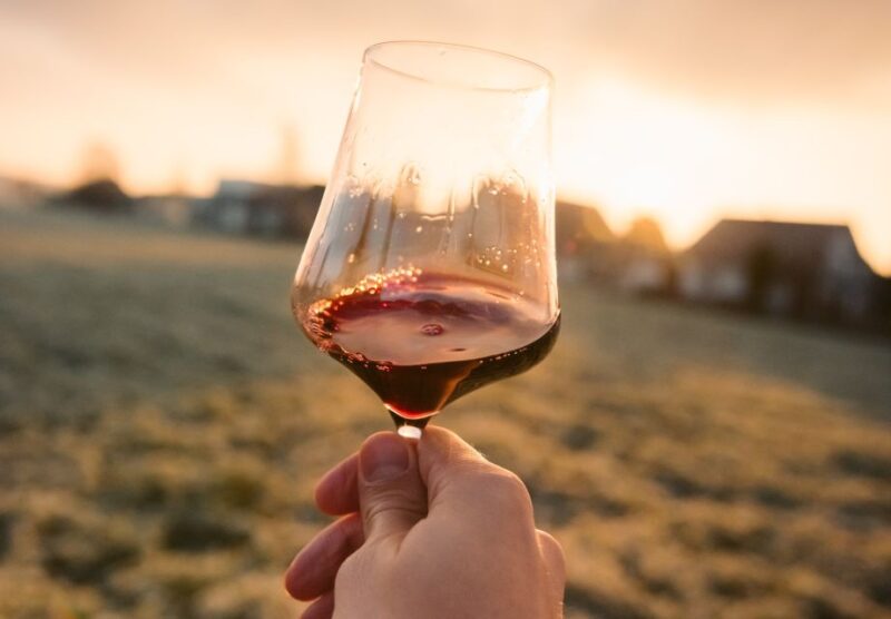 Ebike Tour and Wine Tasting - Tour Experience