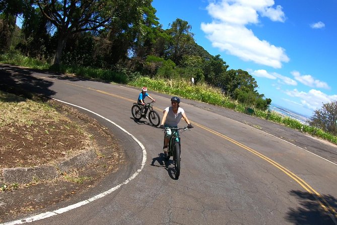 Ebike Tour Honolulu Rainforest - Terrain and Elevation Gain