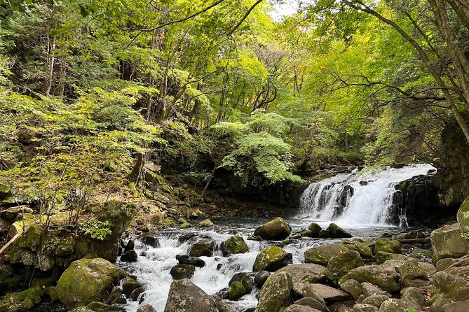 Ebike Tour in Lake Shirakaba and Tateshina Highland Japan - Destination Highlights