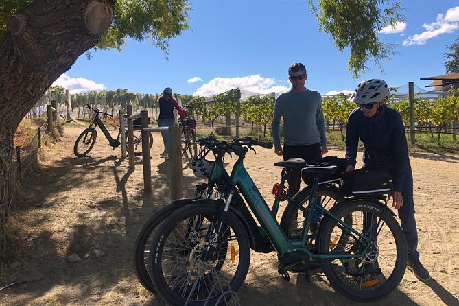 Ebike Tour Lake Dunstan Wine Tasting - Pairing of Cheese and Pinots