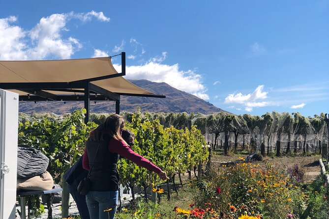 Ebike Tour Lake Dunstan Wine Tasting - Cancellation and Refund Policy