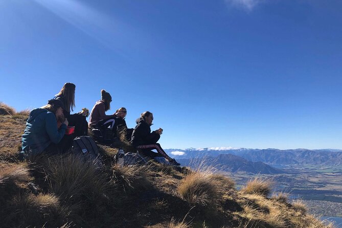 Ebike Tour Lake Hawea River Track to Wanaka - Traveler Feedback