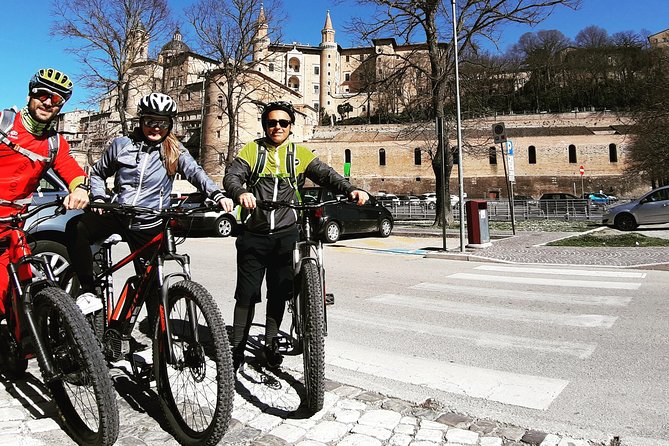 EBIKE Tour With Organic Wine Tasting - Accessibility and Confirmation