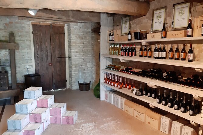 EBIKE Tour With Organic Wine Tasting - Notable Comments