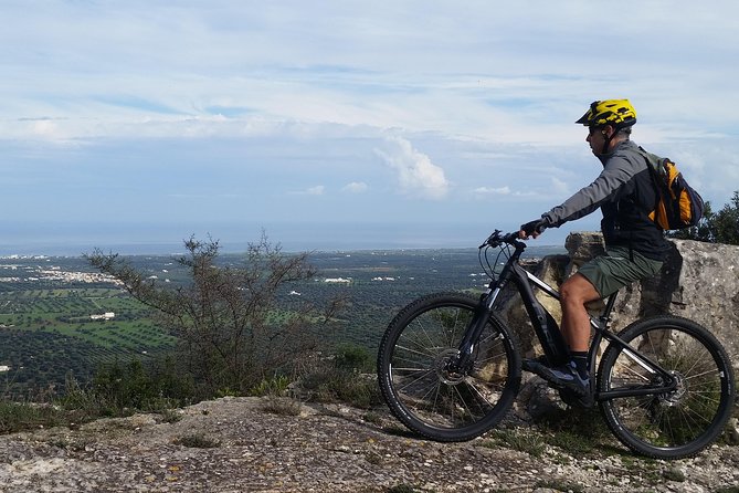 Ebike Tours: Alberobello and the Wines of Valle Ditria - Cycling Through the Valle Ditria
