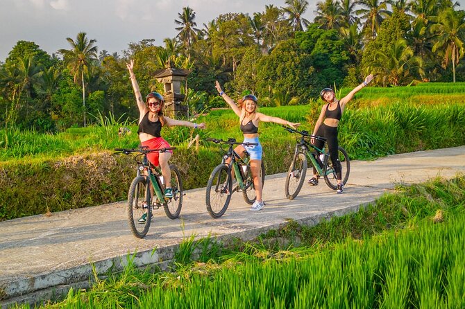 Ebike Ubud Rice Terraces and Traditional Villages Cycling - Key Points