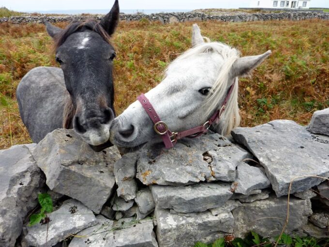 Ebiking on Inishmore Island. Aran Islands. Self-Guided - Rental Details and Assistance