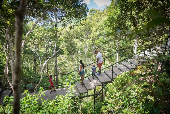 Ebony Forest Reserve Chamarel - Take a Hike Tour - Meeting Point and Pickup Details