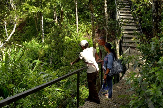 Ebony Forest Reserve Chamarel - Take a Hike Tour - Accessibility and Traveler Considerations