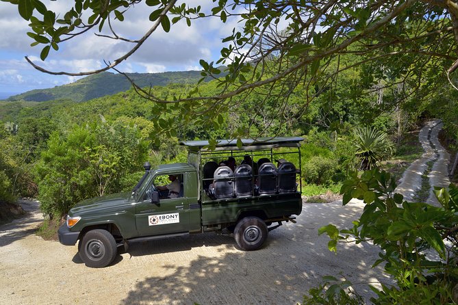 Ebony Forest Reserve Chamarel - Take a Hike Tour - Booking and Cancellation Policy