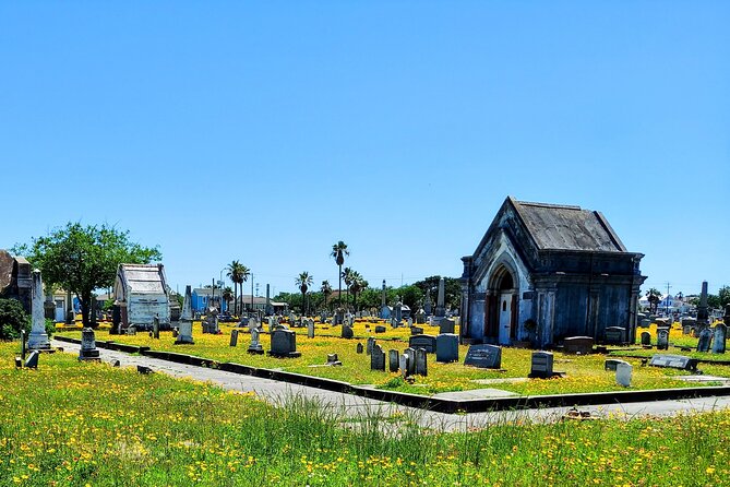 Echoes of the Ages: Secrets of Galvestons Broadway Cemetery. - Exploring the Cemeterys Layout