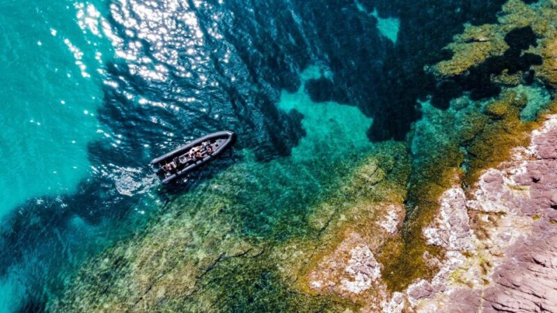 Eclipse Escape Paddle Excursion 1H30 - Pricing and Booking