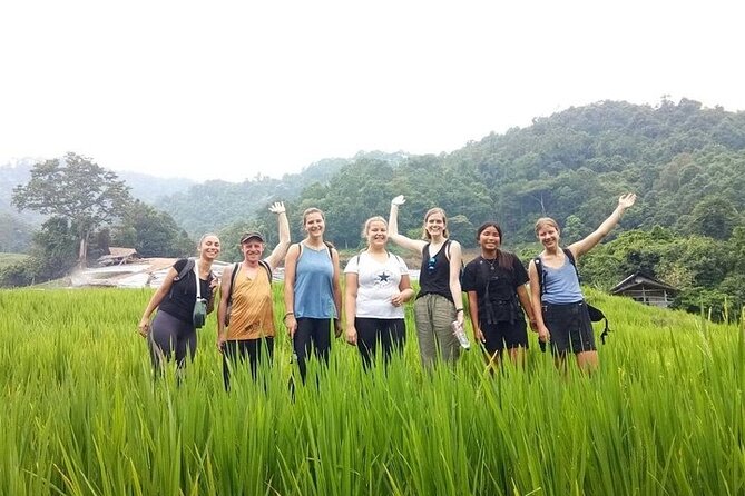 Eco 1.45Hours Hiking @Pha Dok Siaw + Doi Inthanon & Royal Project - Exploring Doi Inthanon