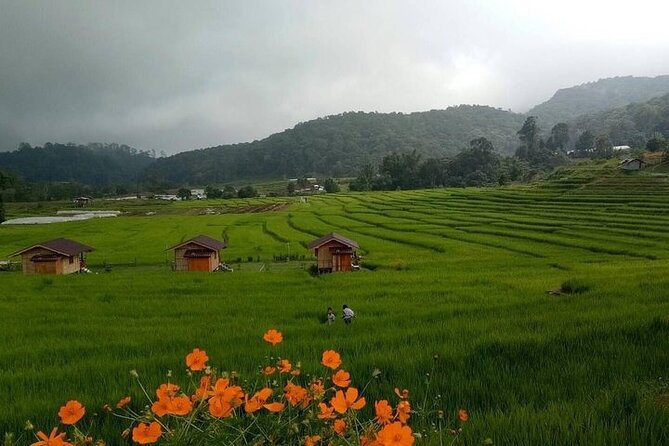 Eco 1.45Hours Hiking @Pha Dok Siaw + Doi Inthanon & Royal Project - Booking and Review Details