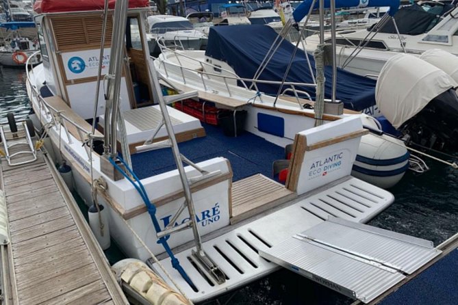 Eco Adapted Diving in Tenerife - Professional Instruction and Safety