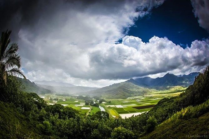 Eco-Adventure Friendly Aloha Island Tour - Logistics and Details