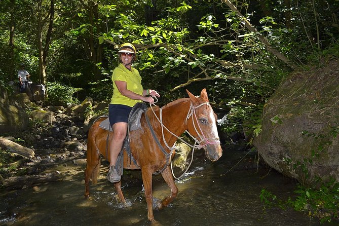 Eco-Adventure Park Premium Day Pass - Accessibility and Location