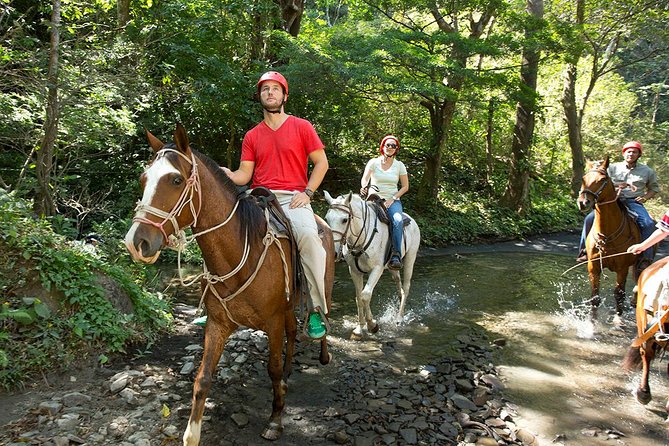 Eco-Adventure Park Premium Day Pass - Suitability and Recommendations