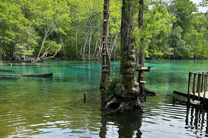 ECO adventure to Cypress Springs by Paddle Board or Kayak - What to Expect from the Tour