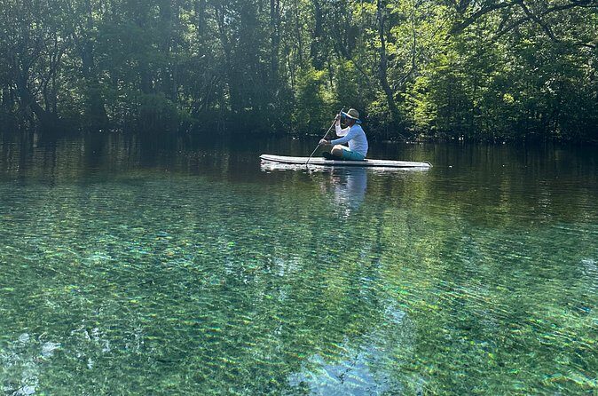 ECO adventure to Cypress Springs by Paddle Board or Kayak - The Authentic Florida Touch