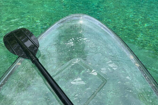 ECO adventure to Cypress Springs by Paddle Board or Kayak - Practical Tips for Your Trip