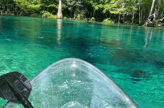 ECO adventure to Cypress Springs by Paddle Board or Kayak - Summary